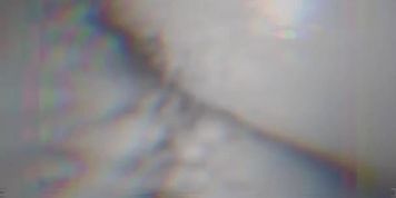 Nz Maori Screw 