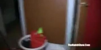 mixed latin n black creo sexy preggo pussy fucked