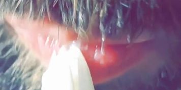 Sc Kyle Butler Sucks Tiny Whipped Cream Tip Verbal