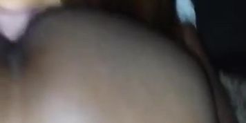 Sucking cock from the back in the magnolia 