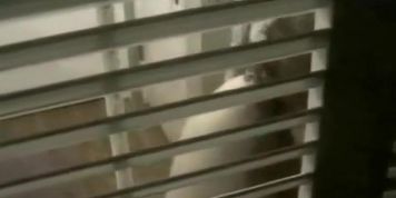 Big shaved pussy spied while peeing
