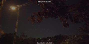Chinese Exhibitionism 34