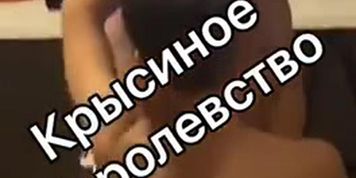 ???? ?????? ????? ????