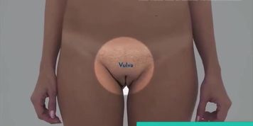 Real Female Anatomy - Visual Examination of the Vulva 1