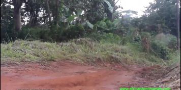 African Porn - Hot Wife Cheating On Husband With Young Village Boys In The Woods Xlx - Village Outdoor