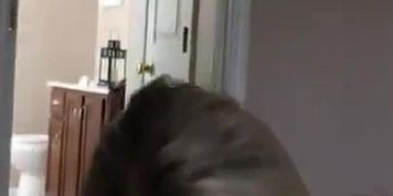 Whore Teacher Sucking Like a Pro (Her Link in Description)