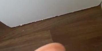 Pegging Farrah&rsquo;s pussy?? (FARRAH ABRAHAM)