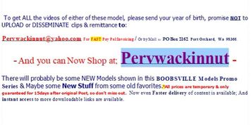 78th Web Models of Boobsville (Promo)
