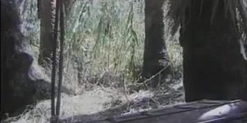 Queen of the Elephants