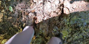 Mit Gummireitstiefeln im Wald