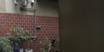 Glorious slender hottie getting pulled into some surprising sharking action