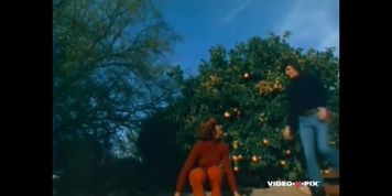 The Happy Whore (USA 1974, Samantha Mc Laren)