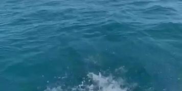Have you ever jumped into the water in the open ocean? ? It .. by evaholiday69 from OnlyFans | Coomer