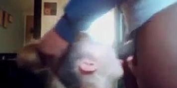 white slut deepthroats bbc