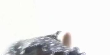Underpants Panties Voyeurism