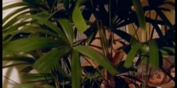 Zara Whites - Joy Hong Kong (1992)