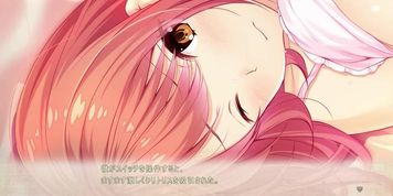 Toriko no Simai:Misaki3