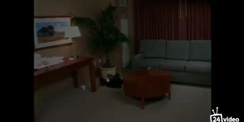 ??????_????????__2003_.mp4