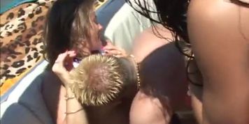 Wild groupie on the beach