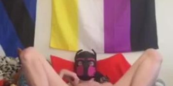 Naughty puppy playing with himself 
