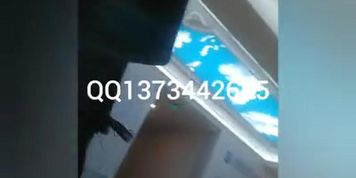 QQ1373442685