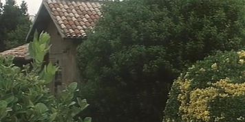 Rebecca (1995) (Anita Rinaldi, Isis Taylor, Simona Valli)