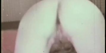 bucky_beaver_42