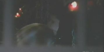Carrie Janisse Breasts Scene  in Desert Passion