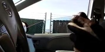 Car Flash BBC