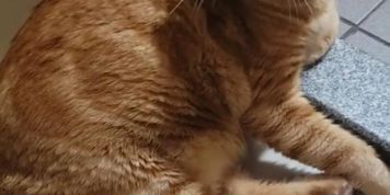 touch pussy