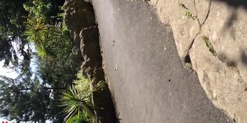 Big dick flash to girl in public