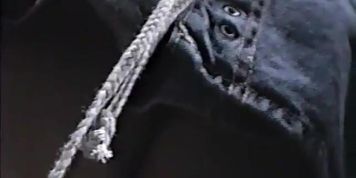 Real Backlighting Voyeur Upskirt Panties