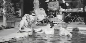 Sixties Pool Party Strip