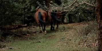 Pagan Forest I (PMV) Bisexual Outdoor Pagan Ritual Sex