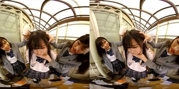 Bully 1 VR