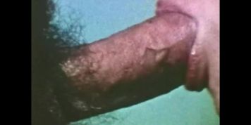 Housewives' Anal Pleasures (1970, Loops Compilation) (Isis Taylor)