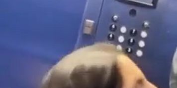 Amateur public bj