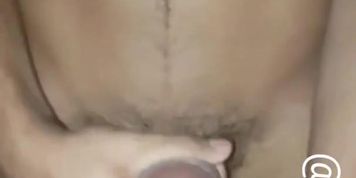 hmgpm11