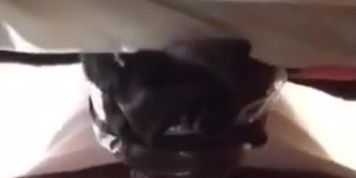 Just getting out of prison fucking fifi