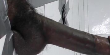 Black Dicks up Close