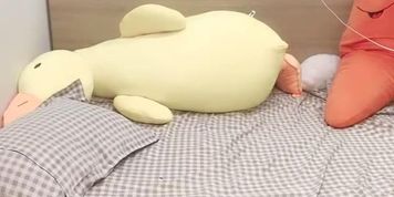CAM_020