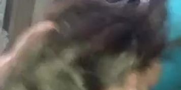 Amateur pov nasty girl lets him do anythng