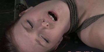 Wax played hogtied pierced sub pleased