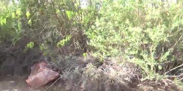 outdoor anal