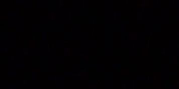 BB446009156