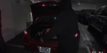 Carried Tied Up In The Trunk To Get Ass Fucked Rough