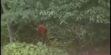 Mr. Cock Caught Wanking In A Park