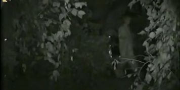 Amateurs bare off candid butts and piss in the dark street