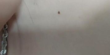Ch?ch ??a em g&aacute;i