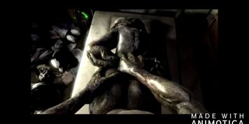 Sangheili Compilation